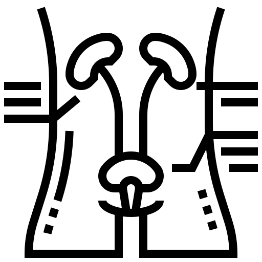 Blood in urine icon