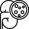 Creatinine test icon