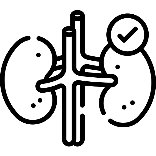 Diabetes kidney icon