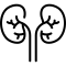 Kidney stones icon